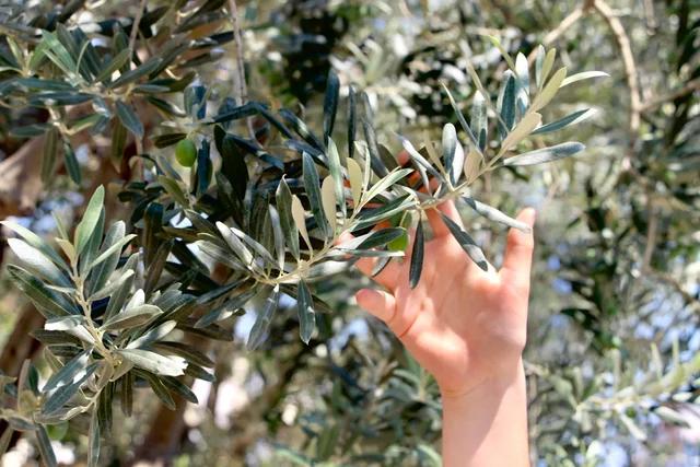 Guía de compras en Olive Young: 4 formas de identificar las tendencias de K-Beauty