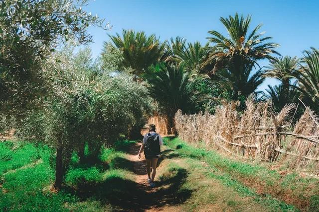 Guía de compras en Olive Young: Cómo experimentar las tendencias de belleza coreana