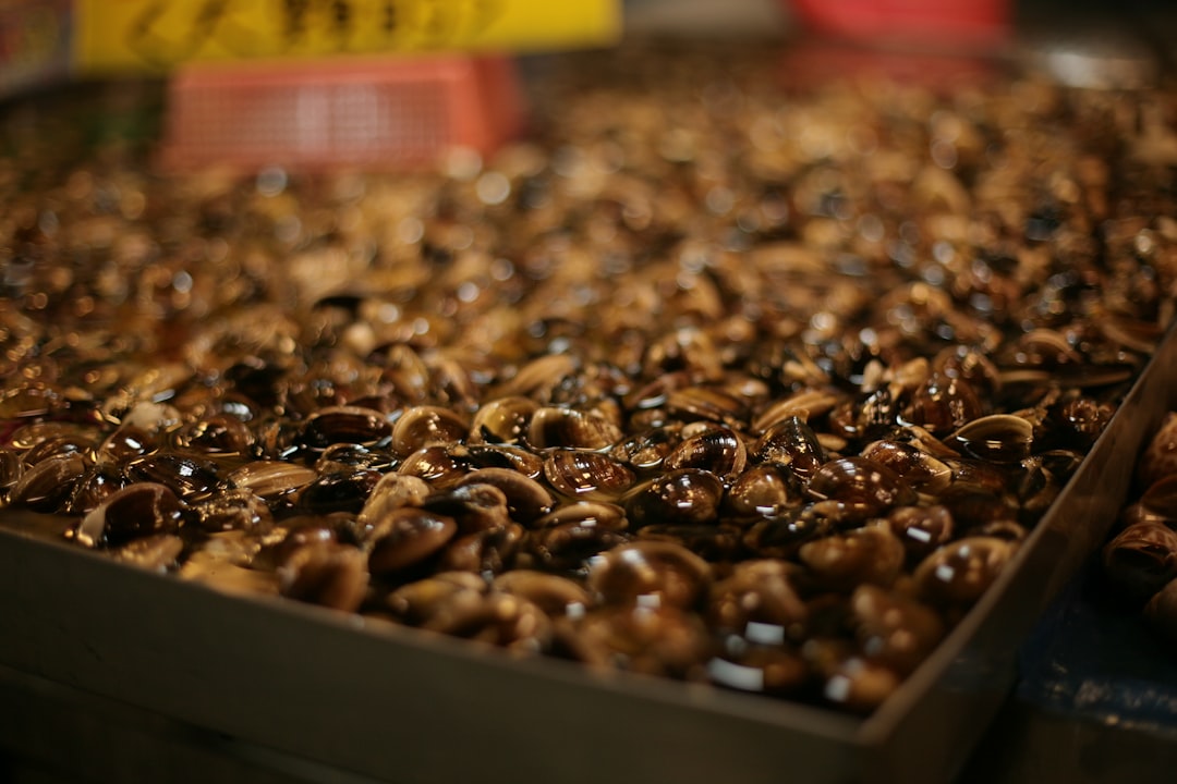 Comprar dulces tradicionales