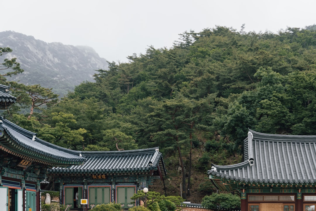 여행 필수 아이템