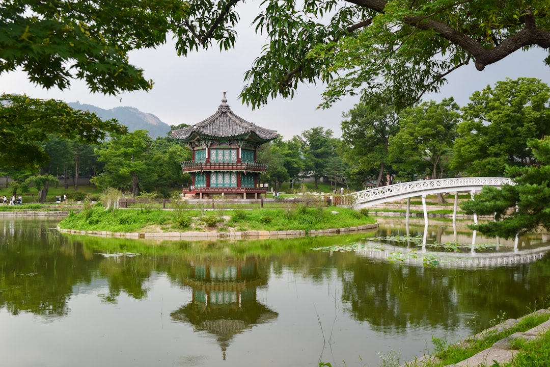 여행 필수 아이템