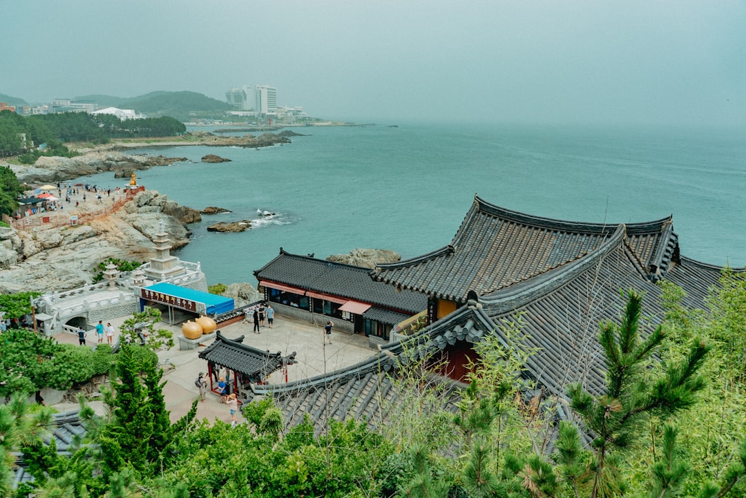 한국 여행 필수 아이템 한국 여행 필수 아이템