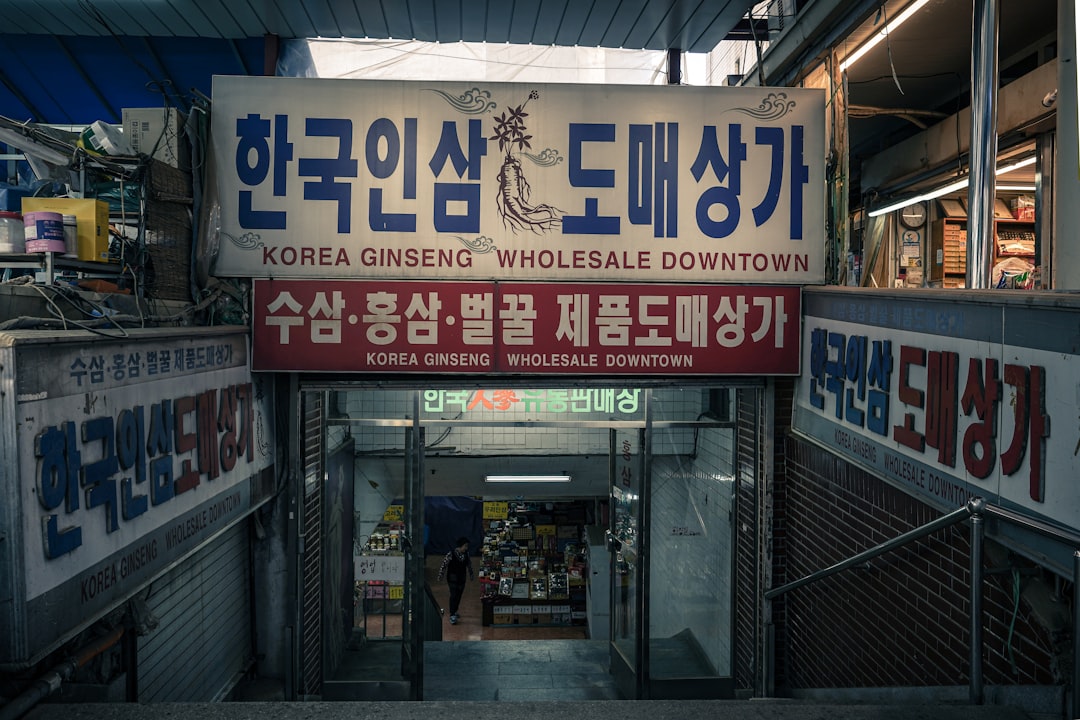 전통 시장 투어 아이템 전통 시장 투어 아이템