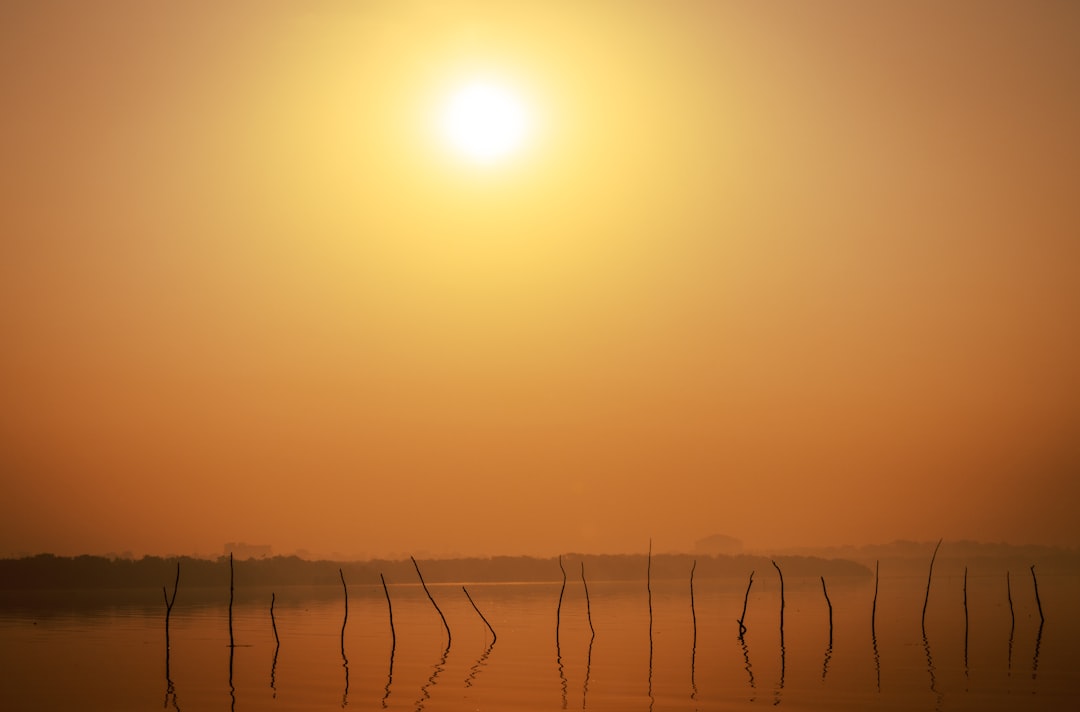 Protección solar portátil