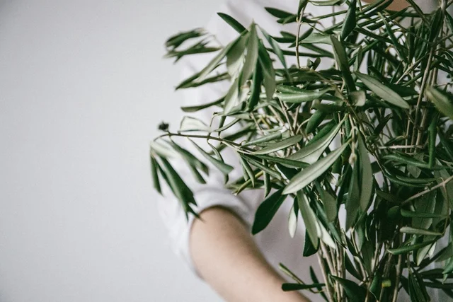 Guía de compras en Olive Young: 4 formas de identificar las tendencias de belleza coreana
